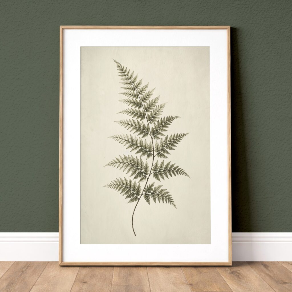 Go to the Vintage Green Botanical Wall Art collection